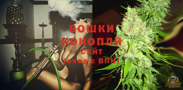 молекула духа Ачинск