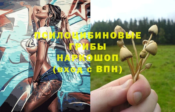 COCAINE Медвежьегорск